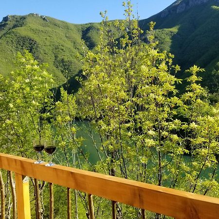 Twin Villas Komani Lake エクステリア 写真